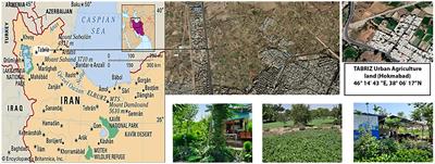 The impact of planting scenarios on agricultural productivity and thermal comfort in urban agriculture land (case study: Tabriz, Iran)